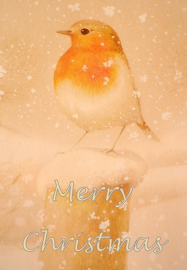 Merry Christmas Robin Mixed Media By The Creative Minds Art And 