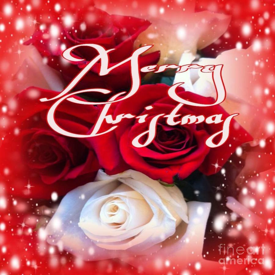 Merry Christmas Roses Photograph by Gayle Price Thomas