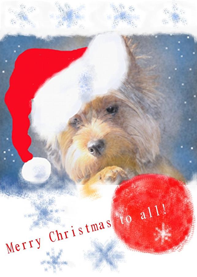 Merry Christmas to all Digital Art by Mary Armstrong