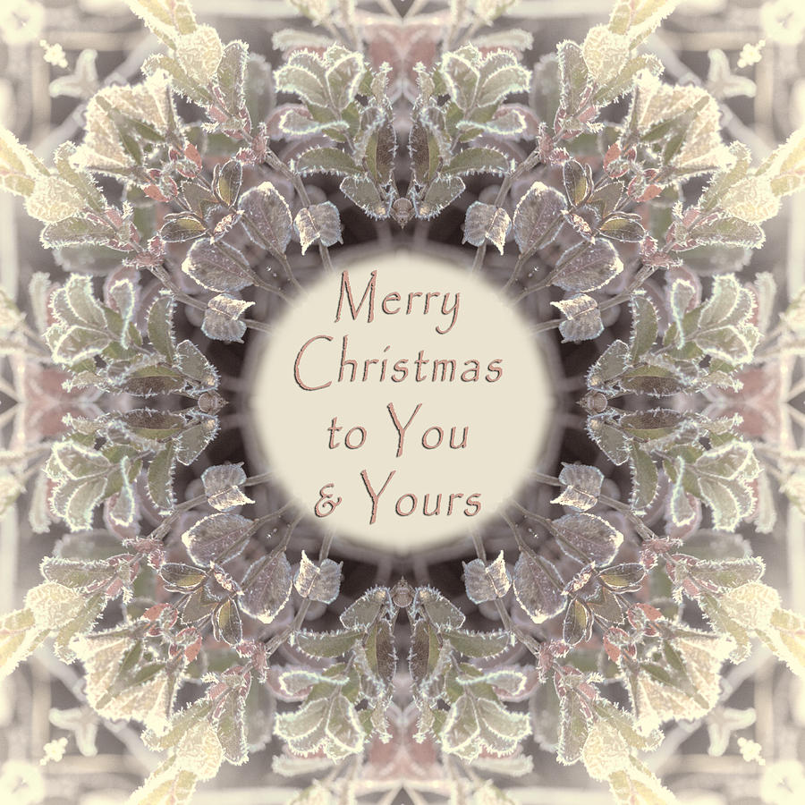Merry Christmas to You and Yours Photograph by Beth Venner