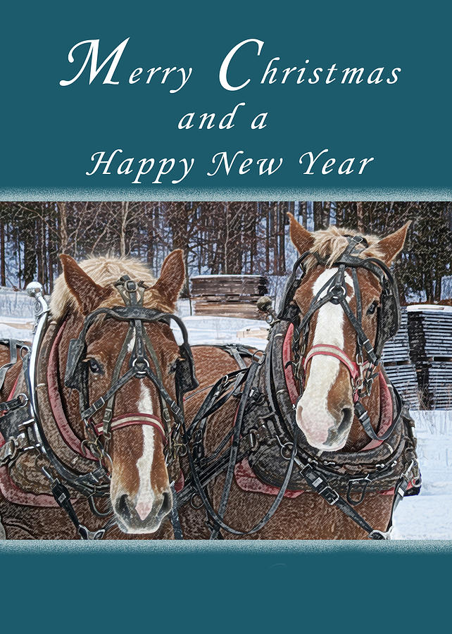 Merry Christmas Work Horses Photograph by Michael Peychich