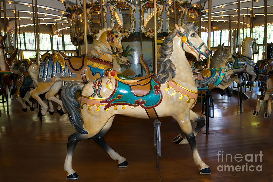 Merry Go Around DSC2945 Photograph by Wingsdomain Art and Photography