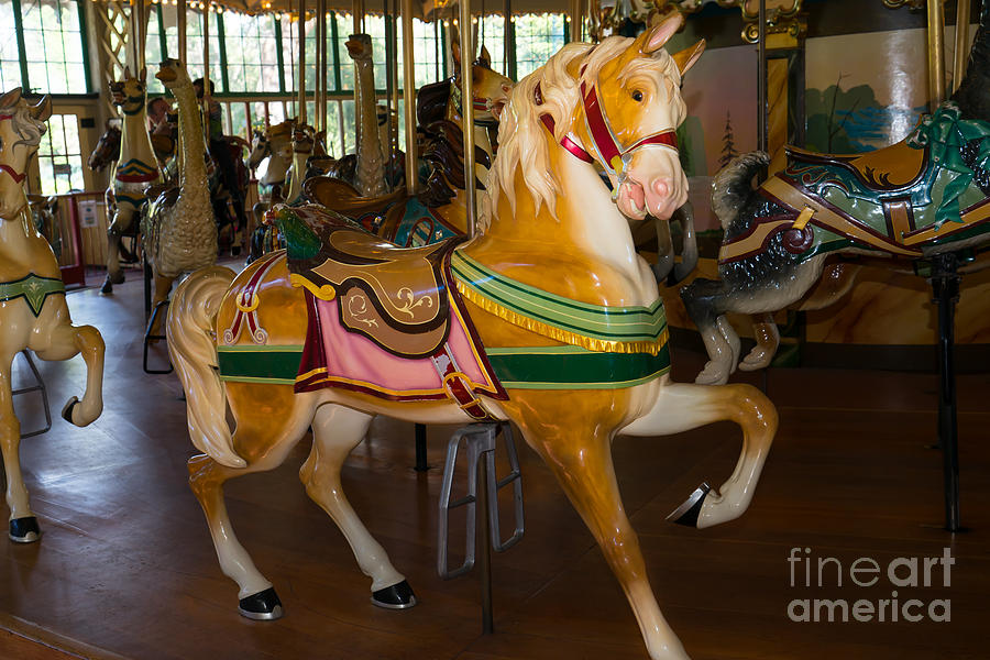 Merry Go Around DSC2948 Photograph by Wingsdomain Art and Photography