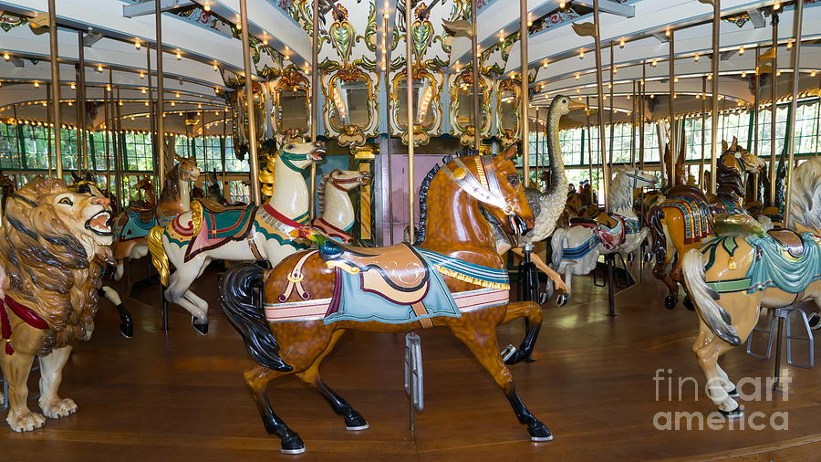 Merry Go Around DSC2963 Photograph by Wingsdomain Art and Photography