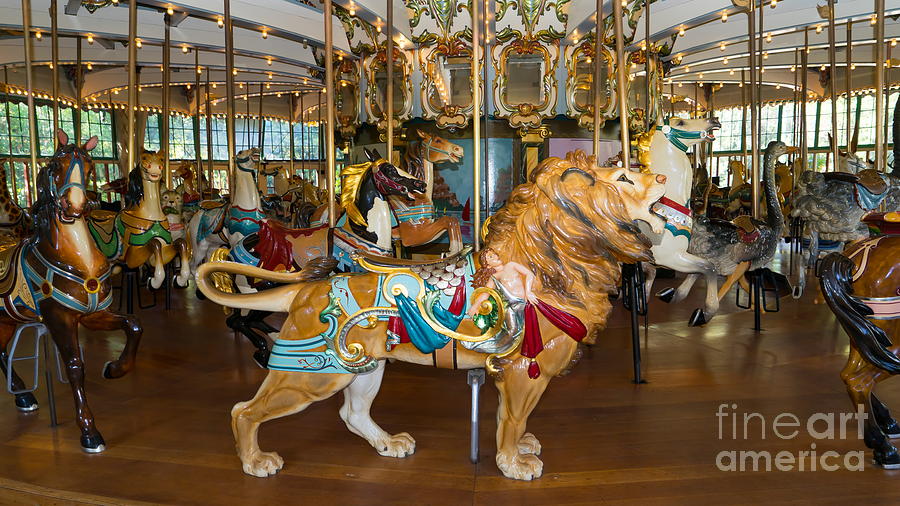 Merry Go Around DSC2966 Photograph by Wingsdomain Art and Photography