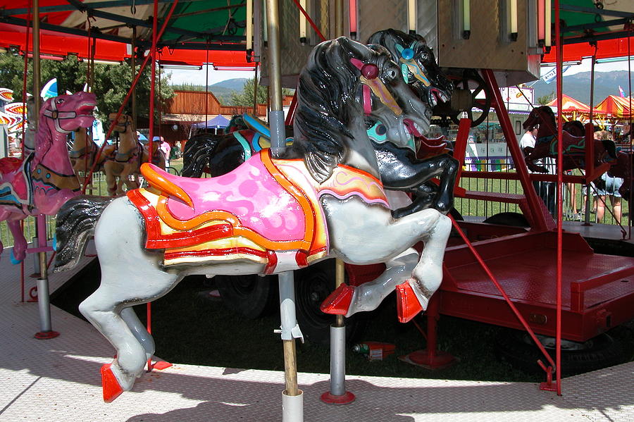 Merry-go-Round Horse Photograph by Mary M Collins