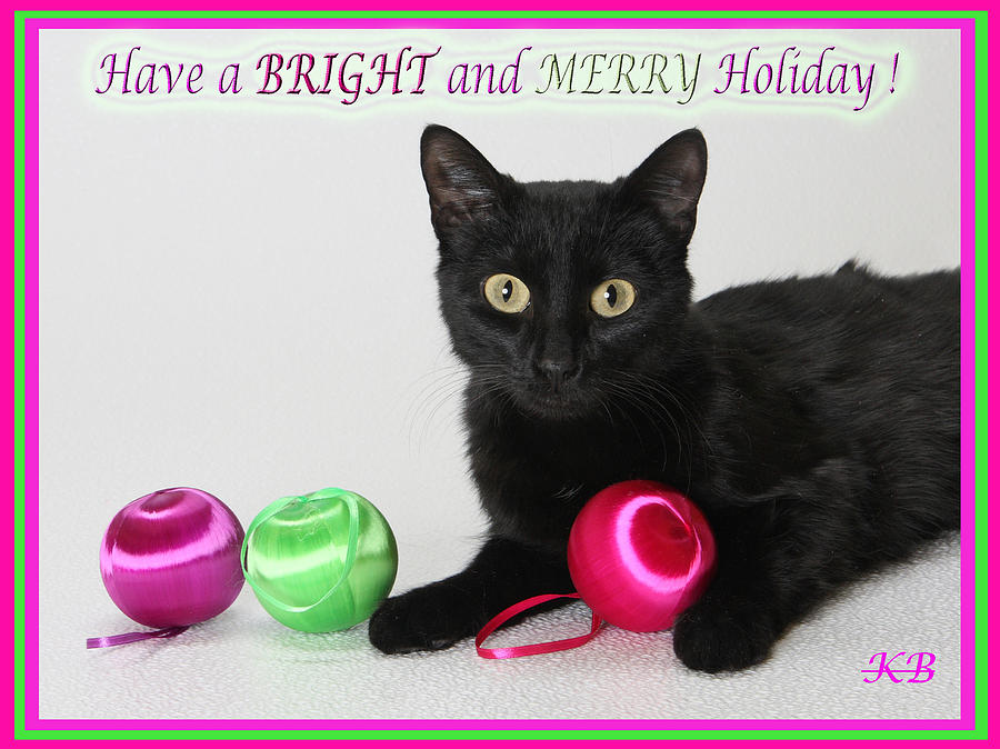 Merry Holiday  Photograph by Kimber  Butler