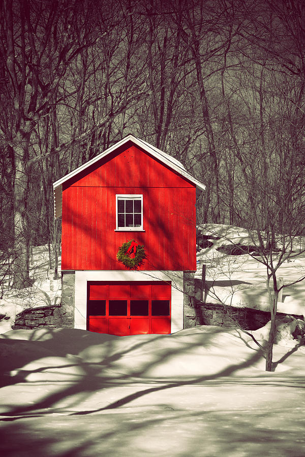 Merry Red Photograph by Karol Livote