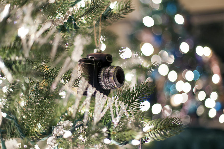 Merry Xmas shutterbugs Photograph by Edward Kreis