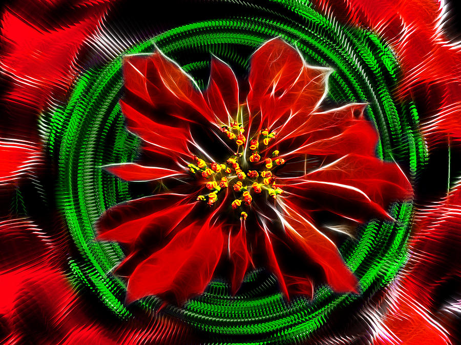 Merry Xtmas - Poinsettia Digital Art