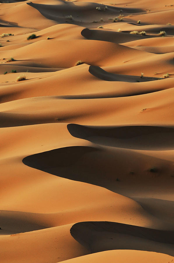 Merzouga Sand Dunes At Sunrise, Sahara Photograph by Ignacio Palacios