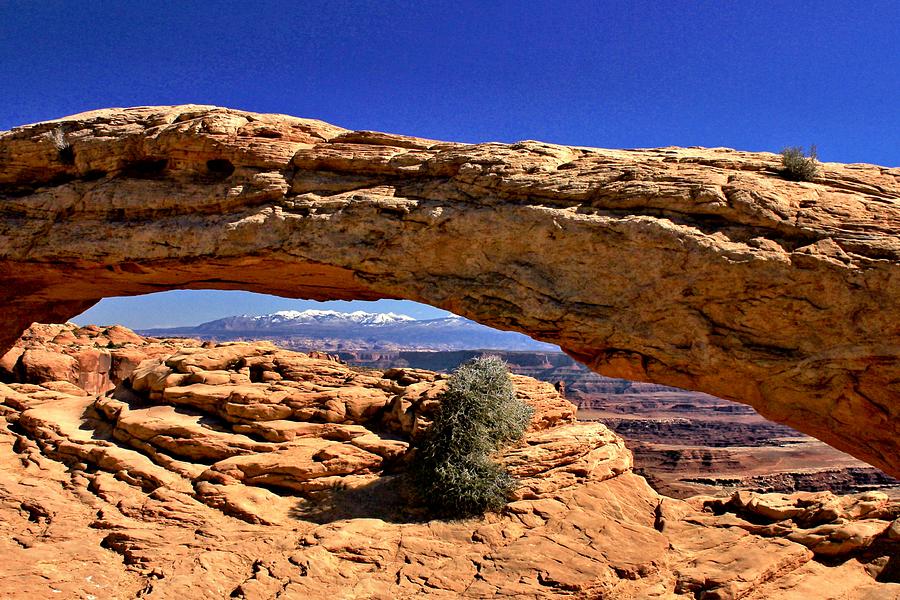 Mesa Arch Day Photograph by Roxie Crouch