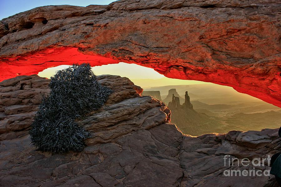 Mesa Arch Photograph by Roxie Crouch