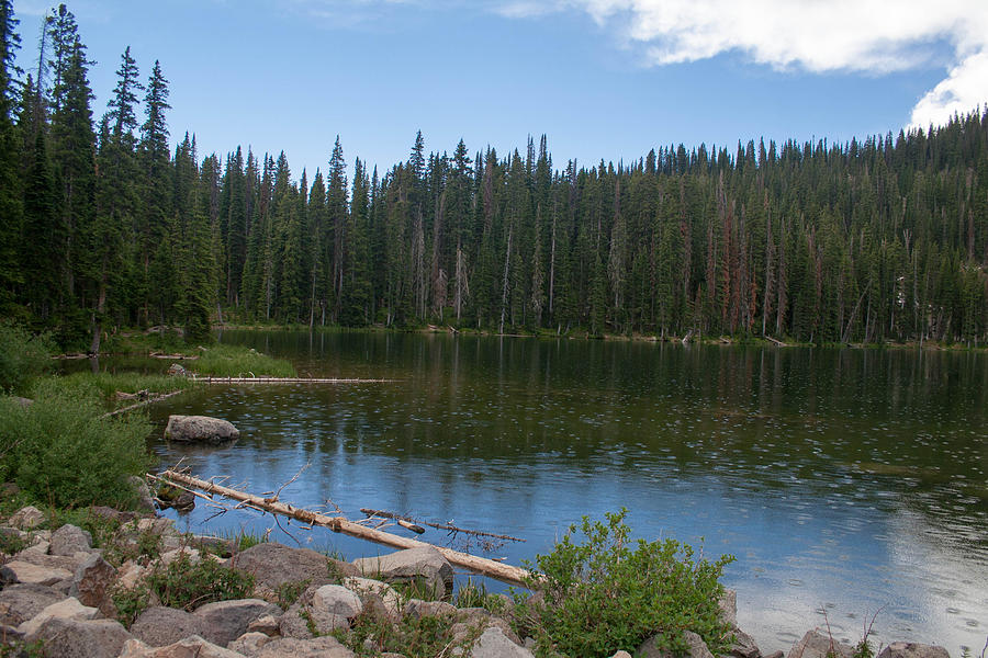 Mesa Lake Photograph by Angela Wetzel - Fine Art America