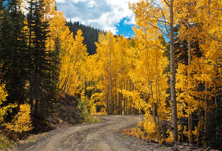 Mesa Lakes Road Photograph by David Short - Fine Art America