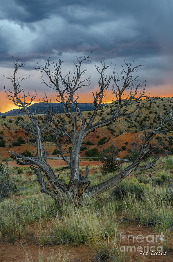 Mesa Sunset Photograph by Pat Lucas