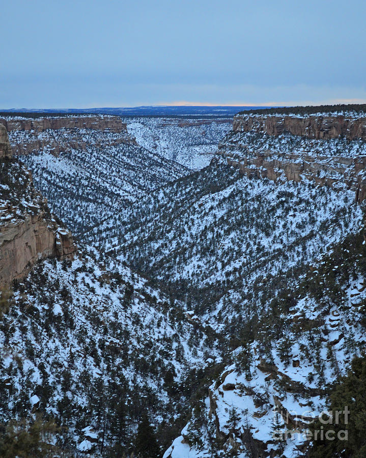 Mesa Valley