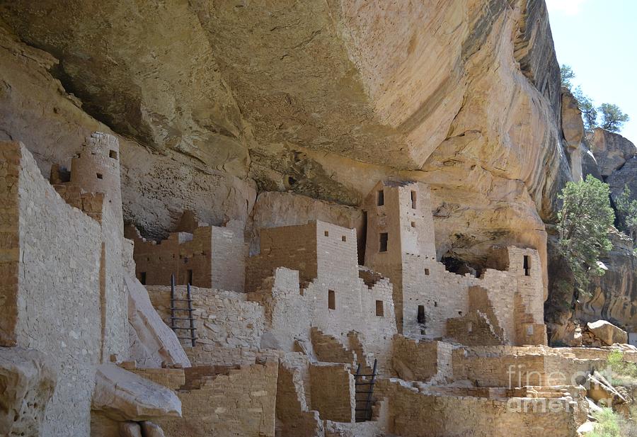 Mesa Verde Photograph by Mary Rogers