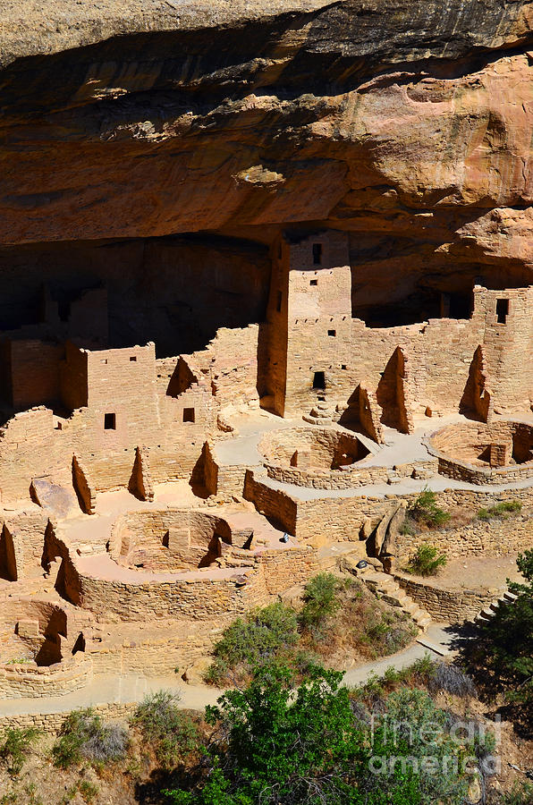 Mesa Verde National Park Cliff Palace Anasazi Ruin Vertical Photograph by Shawn OBrien
