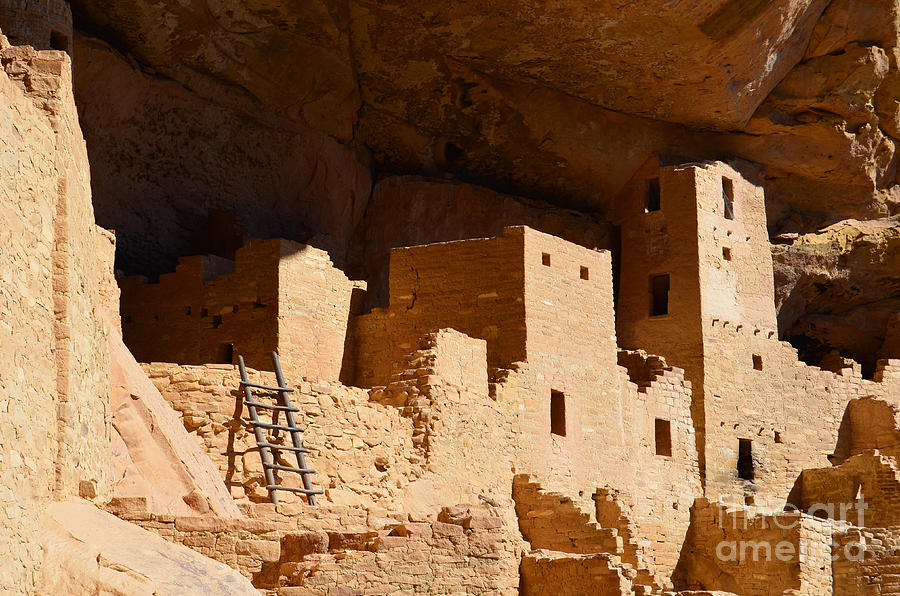 Mesa Verde National Park Cliff Palace Pueblo Anasazi Ruins with Ladder Photograph by Shawn OBrien