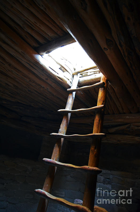 Mesa Verde National Park Kiva Ladder Photograph by Shawn OBrien
