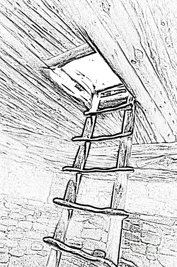 National Parks Digital Art - Mesa Verde National Park Spruce Tree house Kiva Ladder Black and White Line Art by Shawn OBrien
