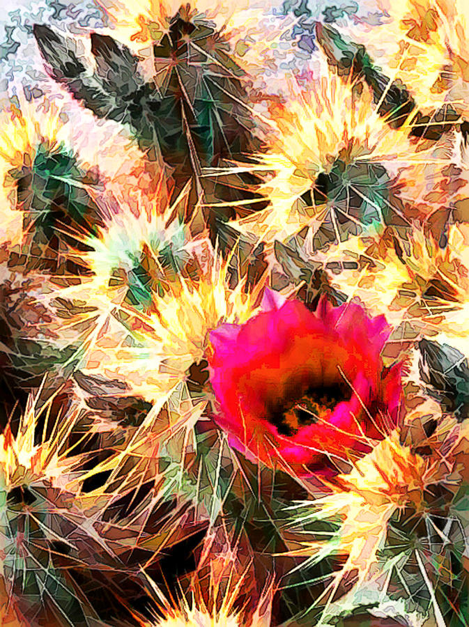 Desert Painting - Mesh of Cactus Needles by Elaine Plesser