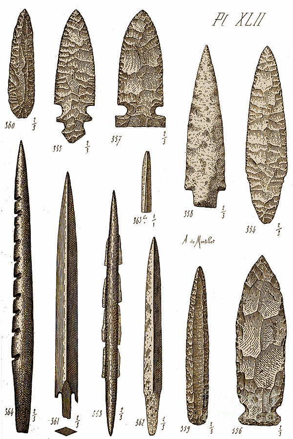 Mesolithic And Neolithic Flint Tools Photograph by Science Source