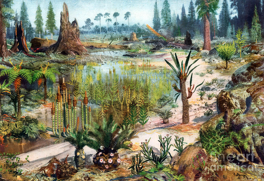 Mesozoic Landscape Photograph by Science Source