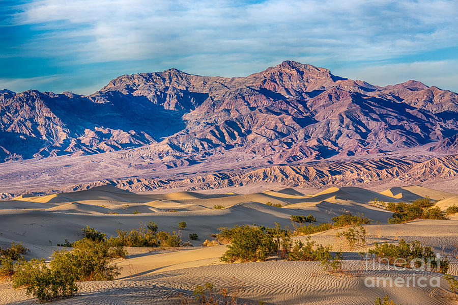 Mesquite Dunes And Mountains Photograph by Mimi Ditchie