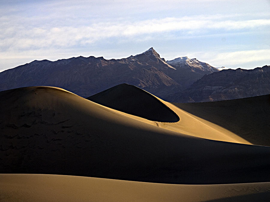 Mesquite Dunes At Dawn Photograph by Joe Schofield