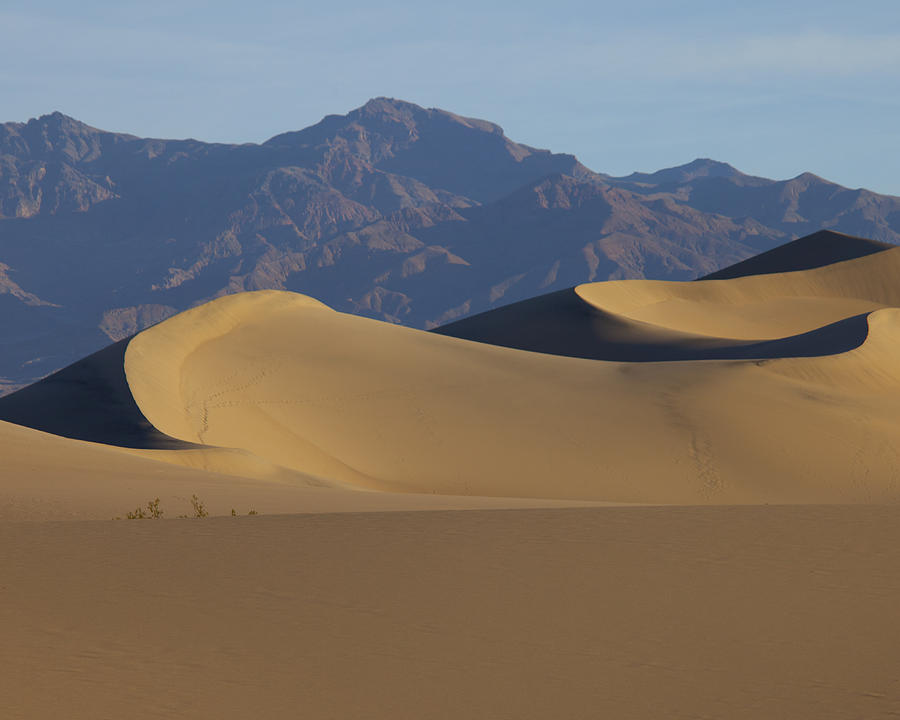 Landscape Photograph - Mesquite Dunes by Neal Martin Landscape Photograph - Mesquite Dunes by Neal Martin