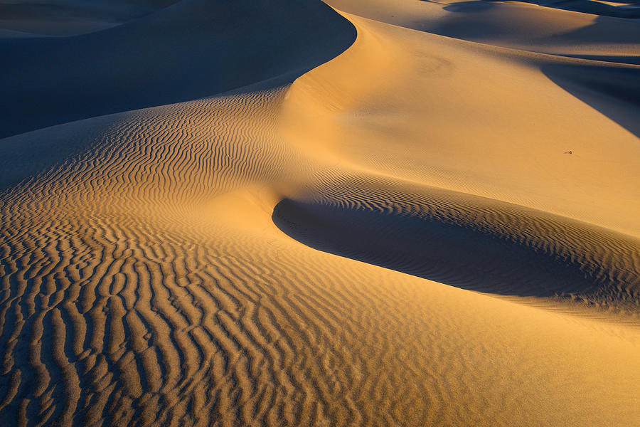 Mesquite Dunes Sunrise Photograph by Mark Whitt