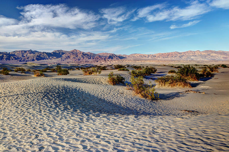 Mesquite Flat Dunes Photograph by Heidi Smith