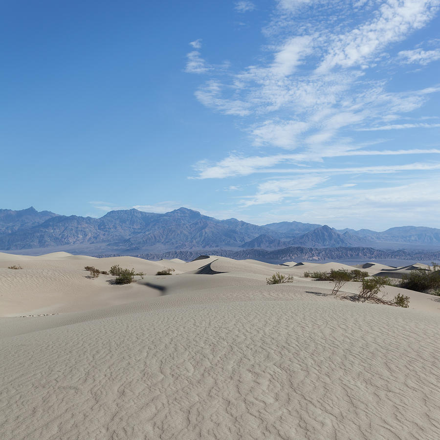 Mesquite Flat Sand Dunes, Death Valley by Tuan Tran