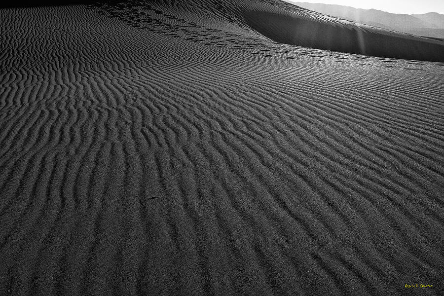 Mesquite Sand Dunes  Photograph by Angela Stanton