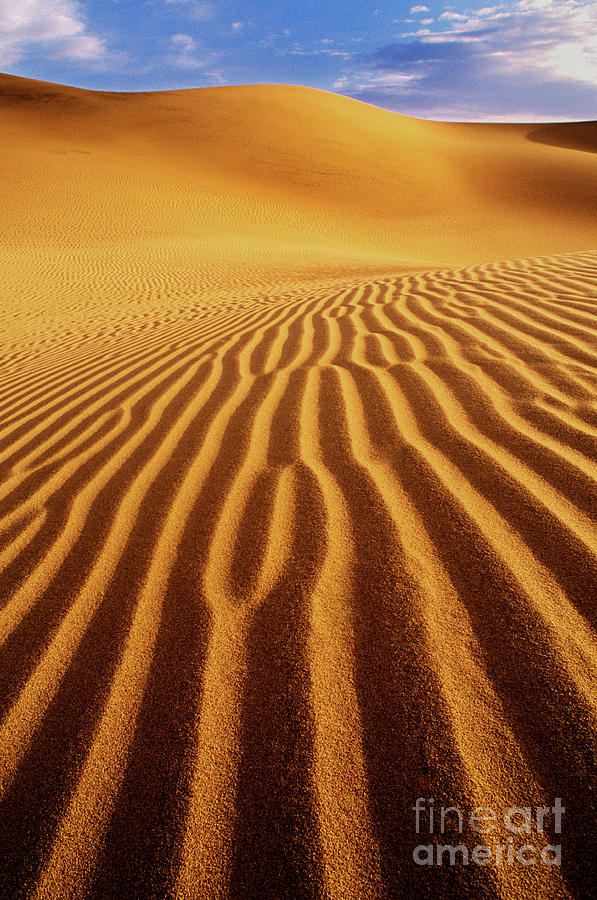 Mesquite Sand Dunes At Dawn Death Valley National Park Califor Photograph by Dave Welling