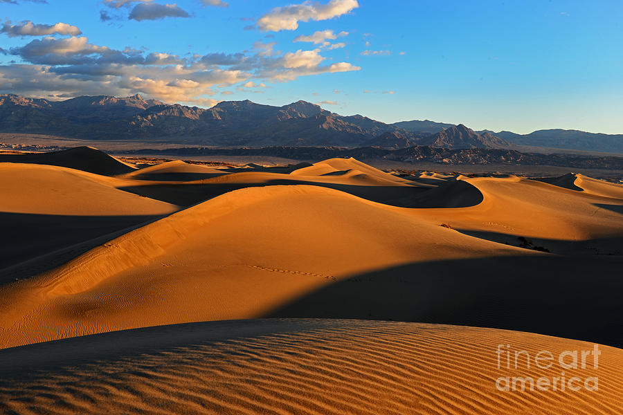 Mesquite Sand Dunes Death Valley Photograph by Peter Dang
