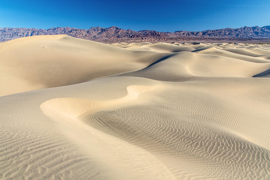 Mesquite Sand Dunes Death Valley Photograph by Pierre Leclerc Photography