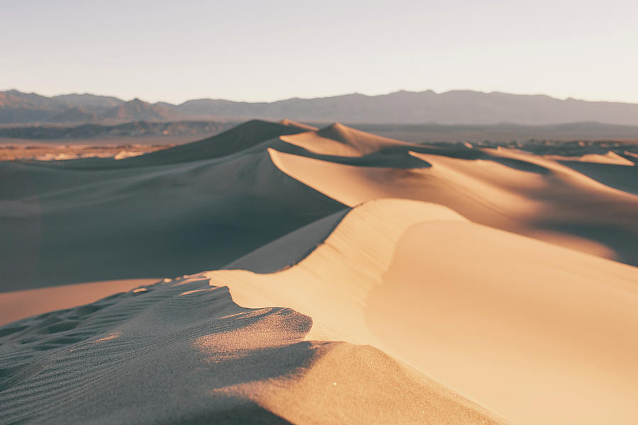 Mesquite Sand Dunes In Death Valley Photograph by Abbie M. Redmon
