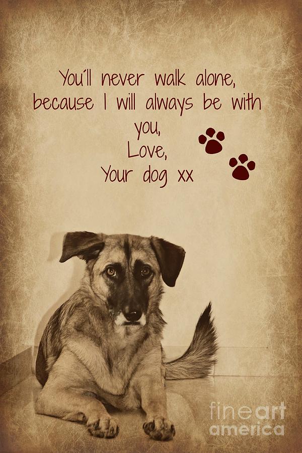 Message from Your Dog Photograph by Clare Bevan