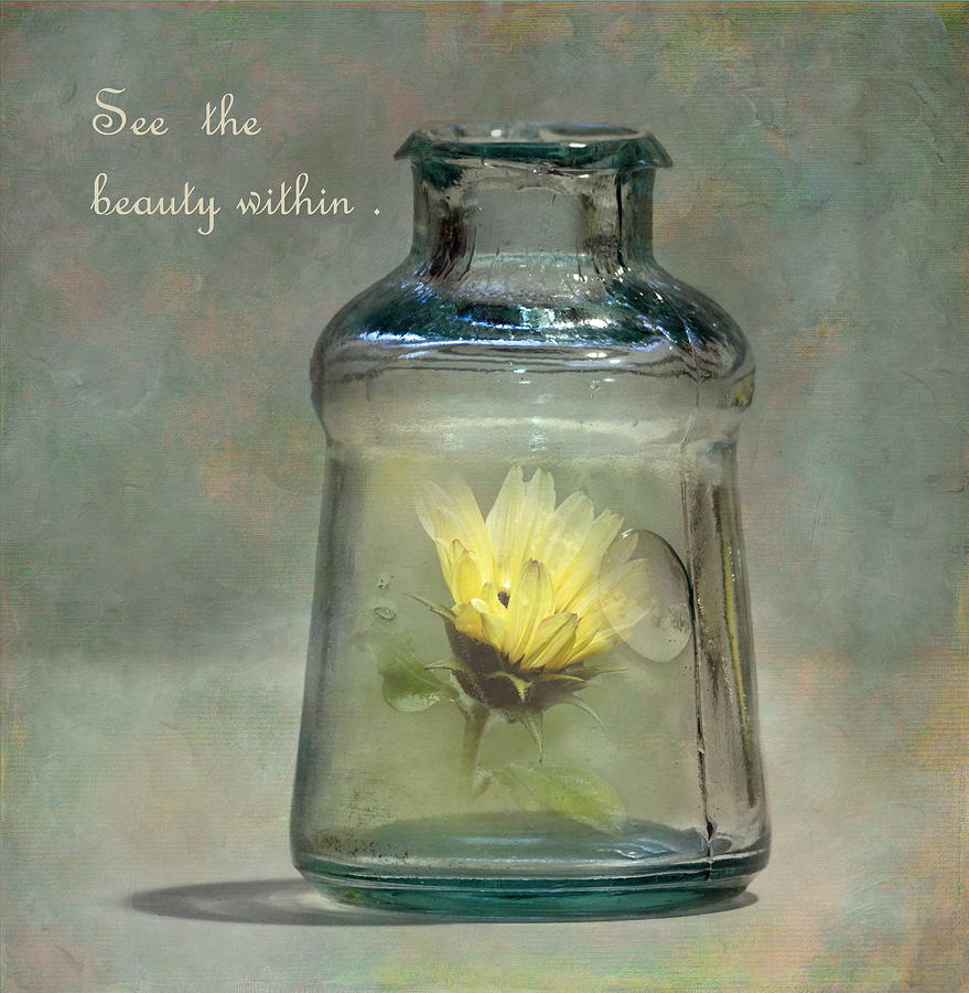 Sunflower Photograph - Message in a Bottle by Angie Vogel