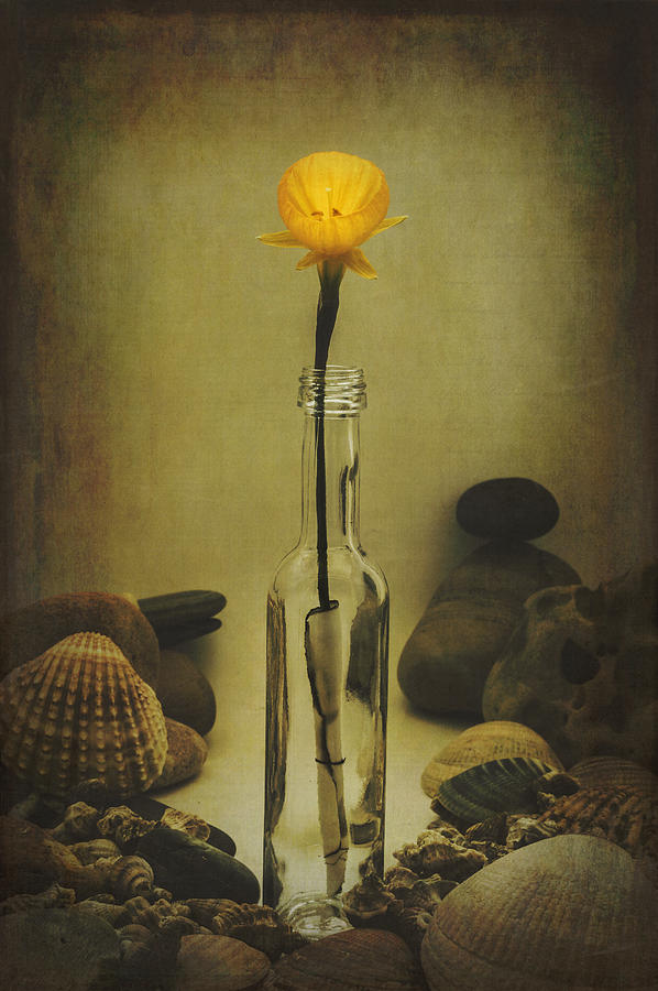 Still Life Photograph - Message of Love III by Marco Oliveira