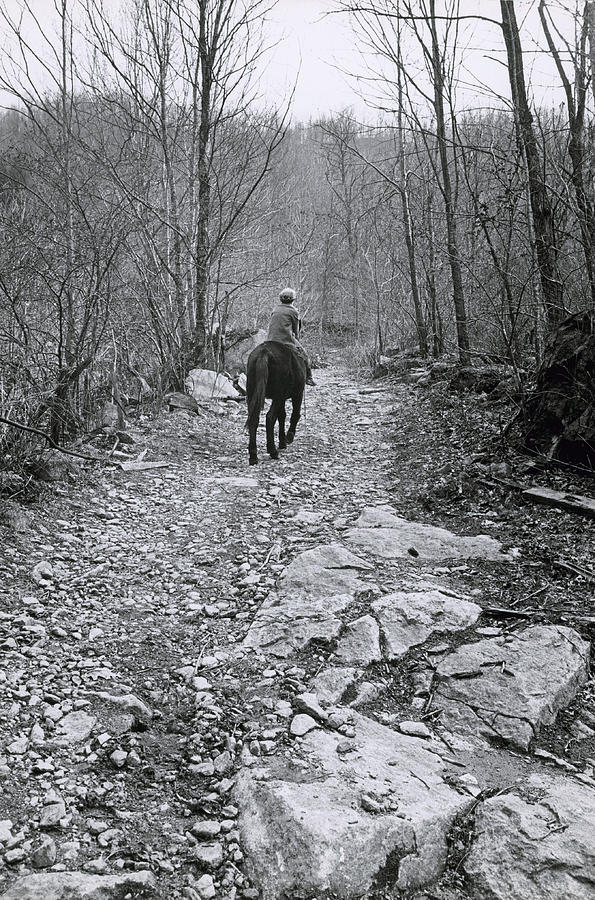 Messenger On Horseback Photograph by Bruce Roberts