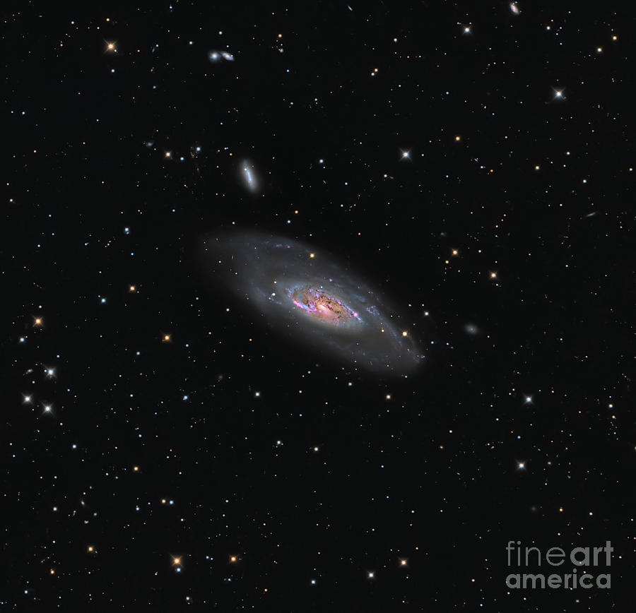 Messier 106, A Spiral Galaxy Photograph by Michael Miller