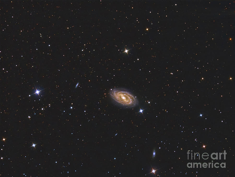 Messier 109, A Barred Spiral Galaxy Photograph by Reinhold Wittich