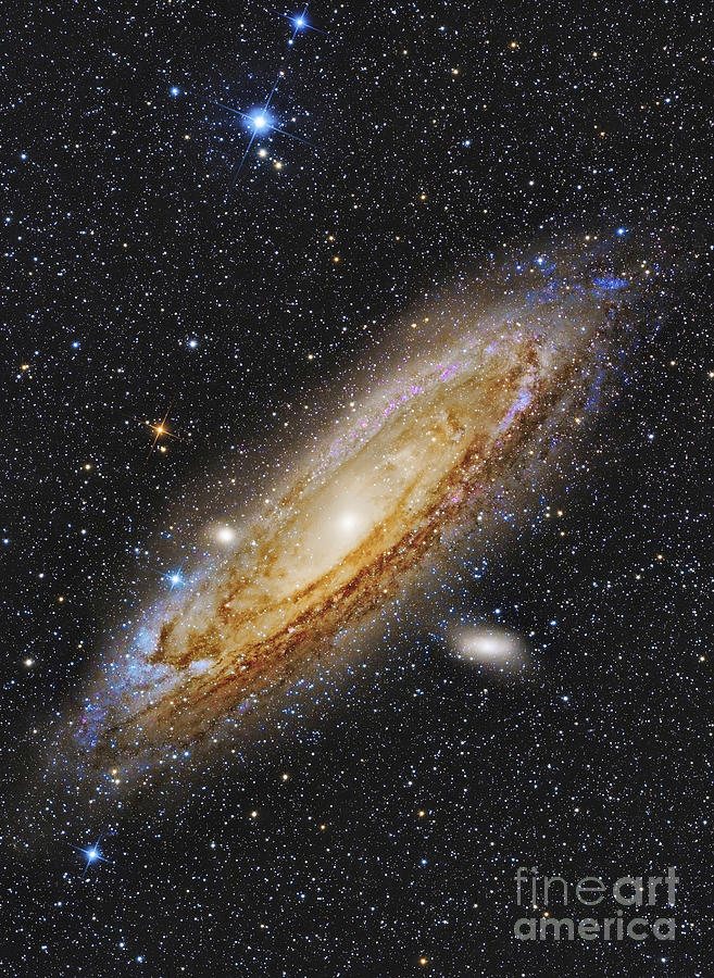 Messier 31, The Andromeda Galaxy Photograph by Roberto Colombari