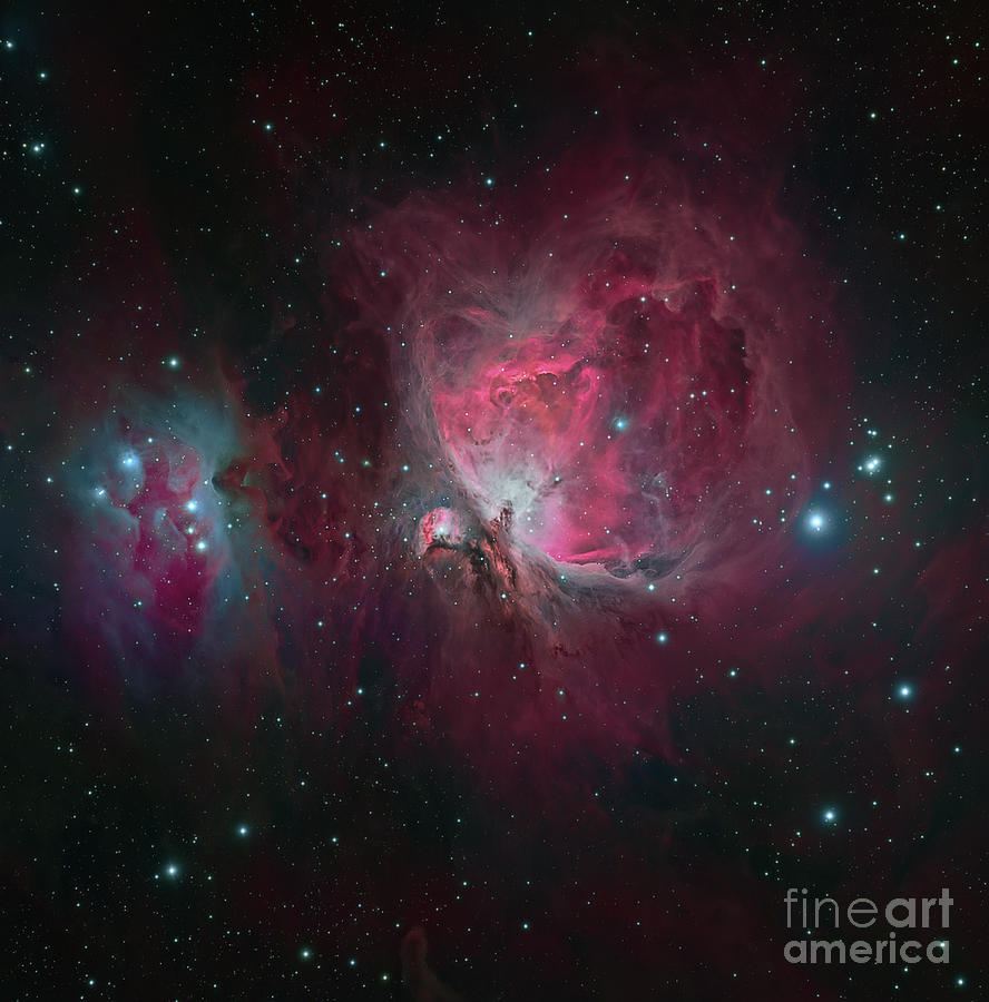 Messier 42, The Orion Nebula Photograph by Michael Miller
