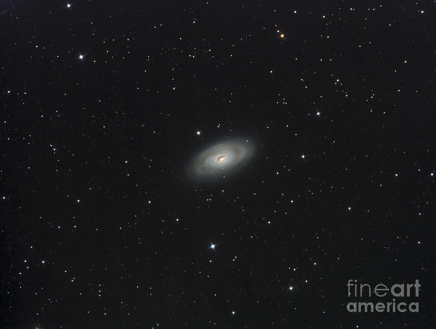 Messier 64, The Black Eye Galaxy Photograph by Reinhold Wittich