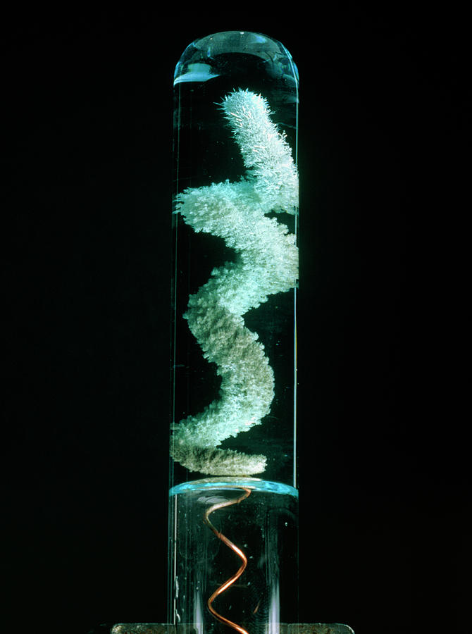 Metal Displacement Reaction Photograph by Jerry Mason/science Photo Library